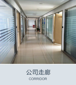 公司走廊